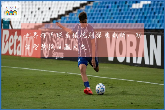 世界杯买球竞猜规则深度剖析，助你智慧投注赢大奖