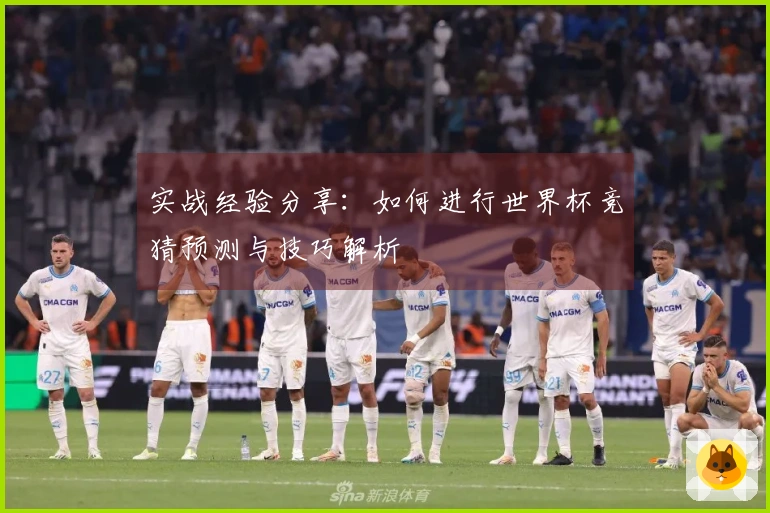 实战经验分享：如何进行世界杯竞猜预测与技巧解析