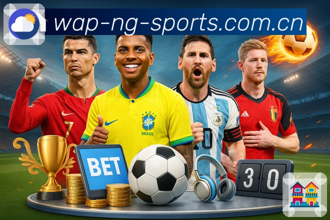 NG体育回访内容价值