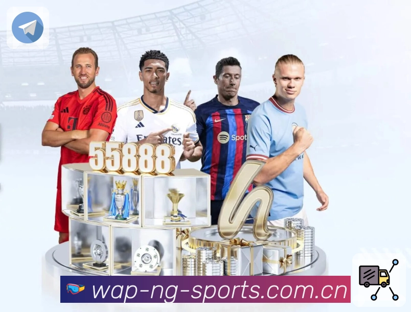 NG体育回访服务